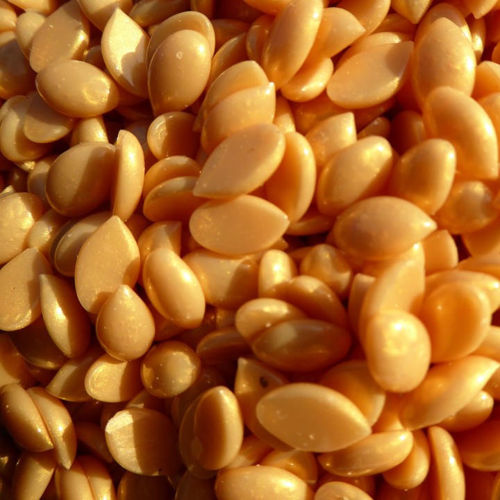 Premium Gold Rush Film Hard Wax 1.65 lb / 750 g