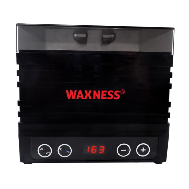 Waxness Premium Barbero Tattoo Gold Professional Stripless Waxing Kit with  1.65 lb 0.74 kg Wax Bag