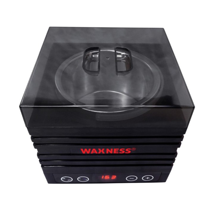 Waxness Premium Barbero Tattoo Gold Professional Stripless Waxing Kit with  1.65 lb 0.74 kg Wax Bag