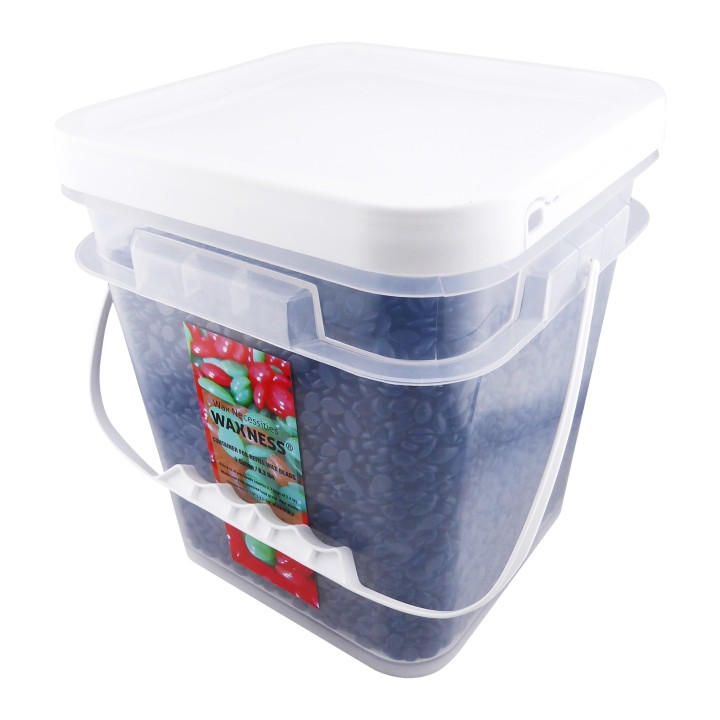 Waxness Clear Plastic Empty Container with Lid Holds 6 lb Wax Beads