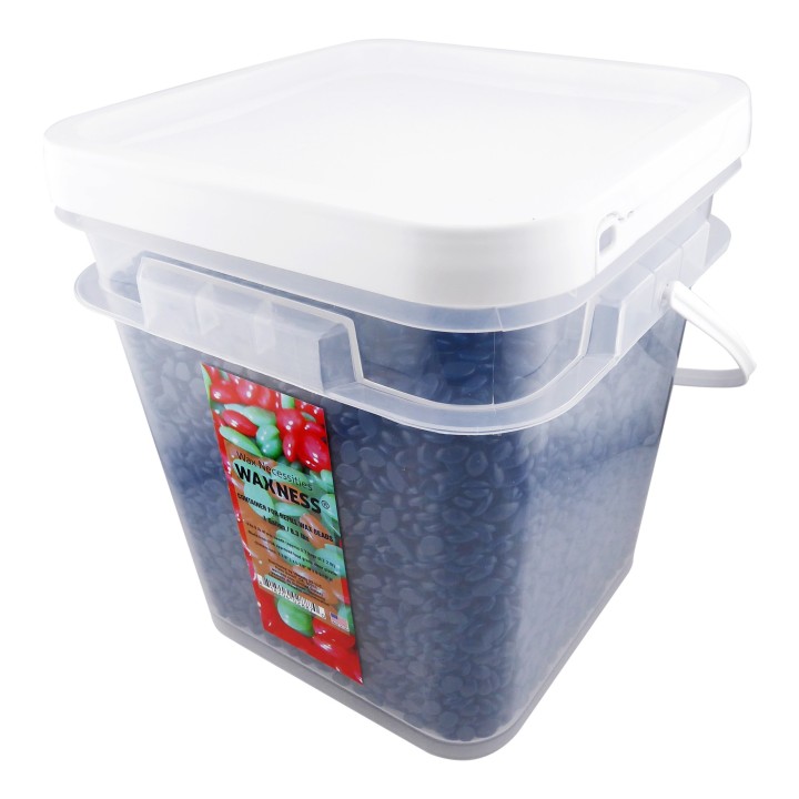 Waxness Clear Plastic Empty Container with Lid Holds 6 lb Wax Beads